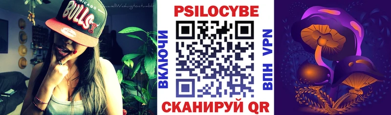 Купить закладки  Верхотурье  Псилоцибиновые грибы мицелий 